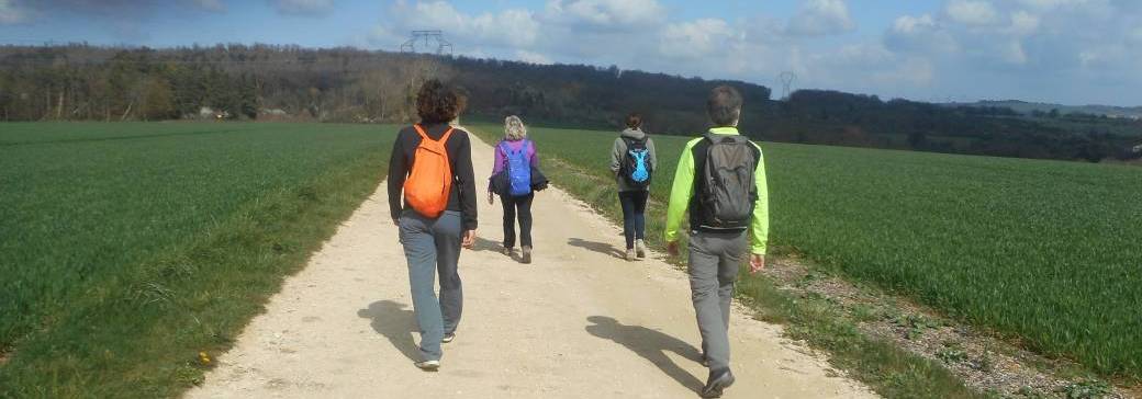 Sylvothérapie : bain de forêt