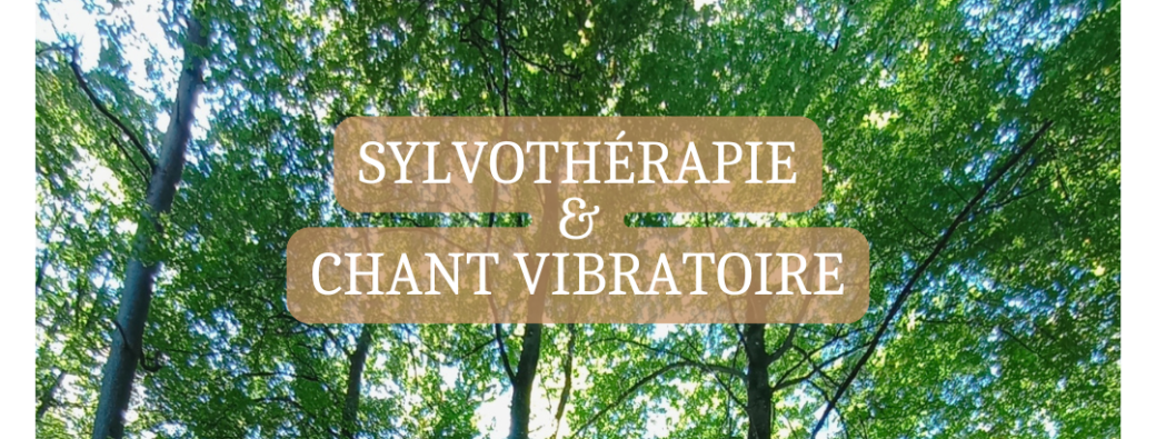 Sylvothérapie et chant vibratoire en forêt de Fontainebleau - 25 mai 2025