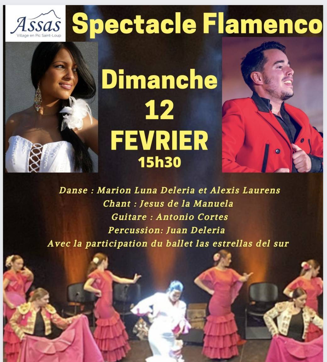 Spectacle Flamenco Assas
