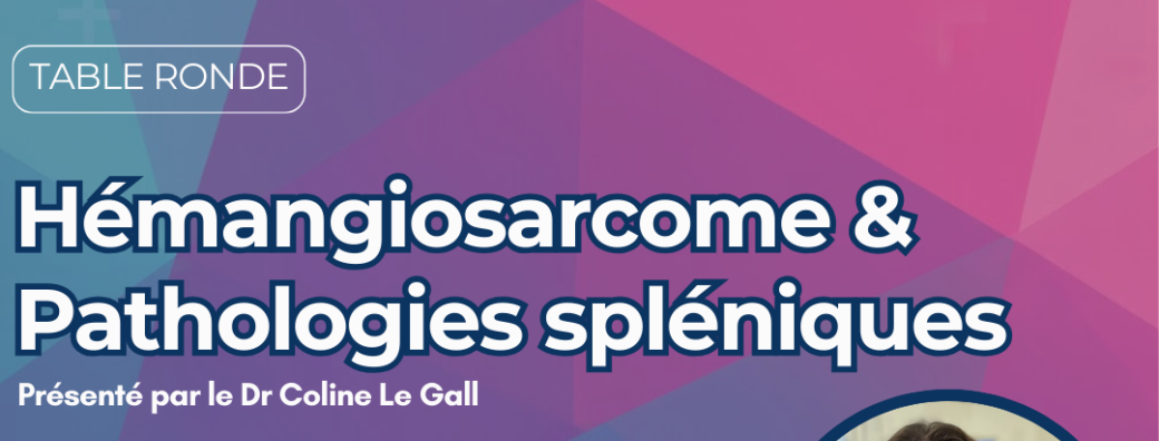 Table ronde -Hémangiosarcome & Pathologies spléniques