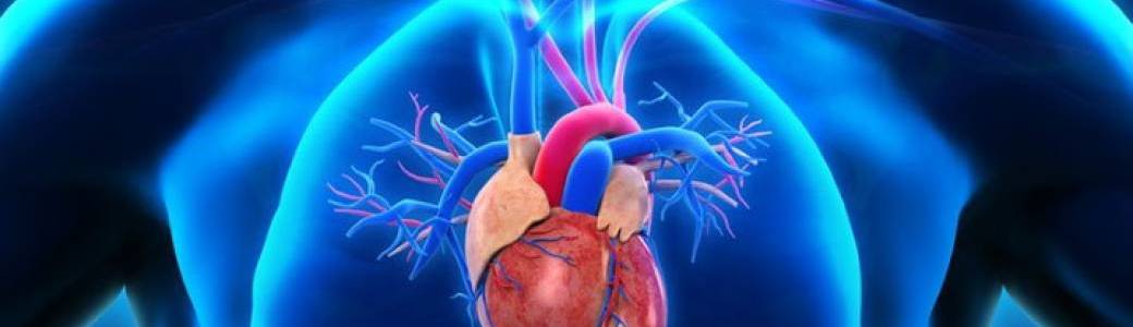 TALK Cardiologie