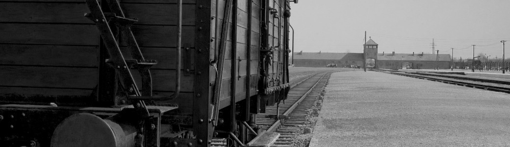 Témoignage de Ginette Kolinka, rescapée d'Auscwhitz-Birkenau