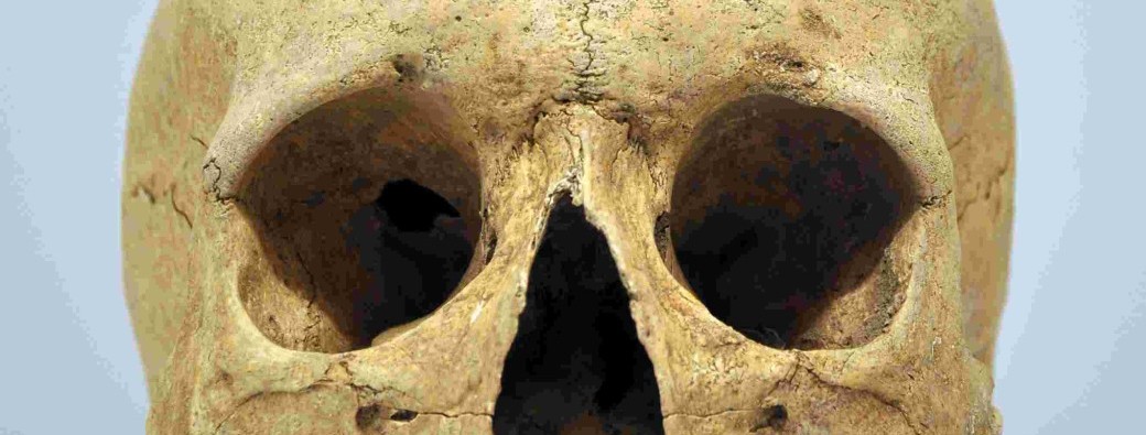 Tempête sous un crâne Théâtre Cycle 1 Arts-études