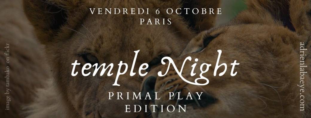 Temple Night - Primal Play Edition