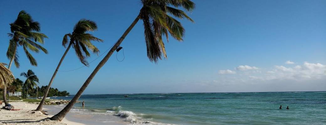 TENUE RL L'ACACIA DE MARIE GALANTE