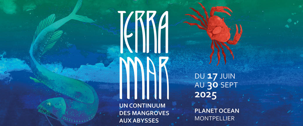 Terra Mar : un continuum des mangroves aux abysses