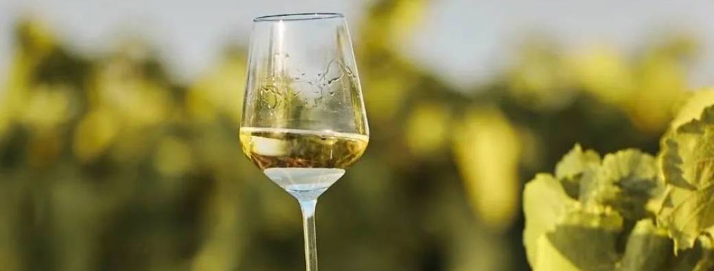 Terroirs de Loire - dégustation guidée de 4 vins blancs