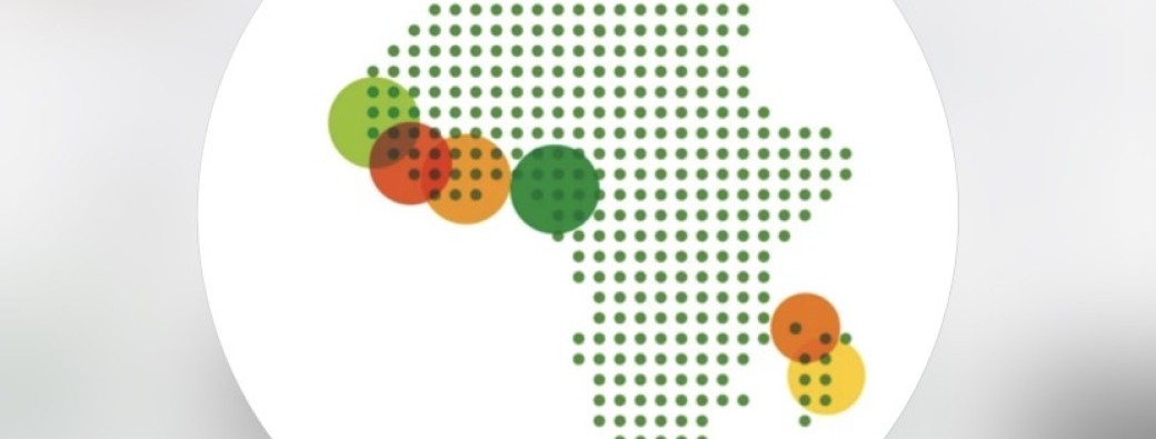 Salon des Diasporas Africaines 2026 - billetterie test