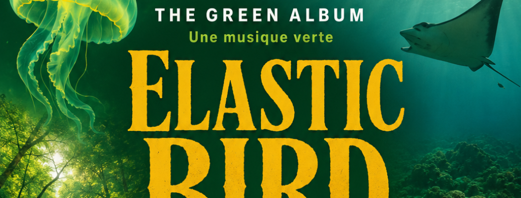 The Green Album Elastic Bird