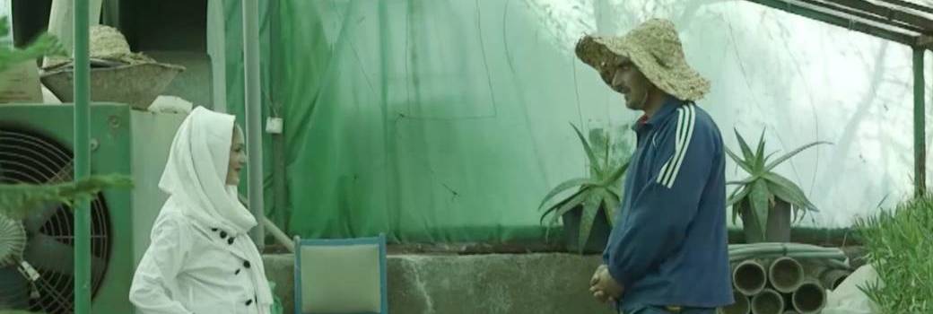 The Marriage Project The Marriage Project