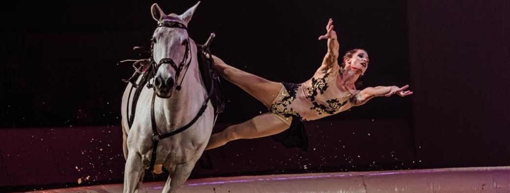 Théâtre Equestre l'Envol