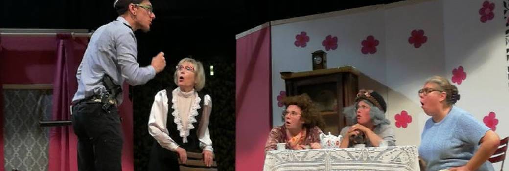 Théâtre : Fallait pas les agacer ! Comédie de Jean-Claude Martineau