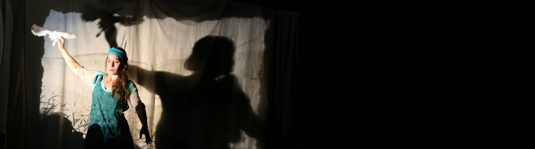 Théâtre gestuel, visuel et marionnettique : Bleu Grenouille
