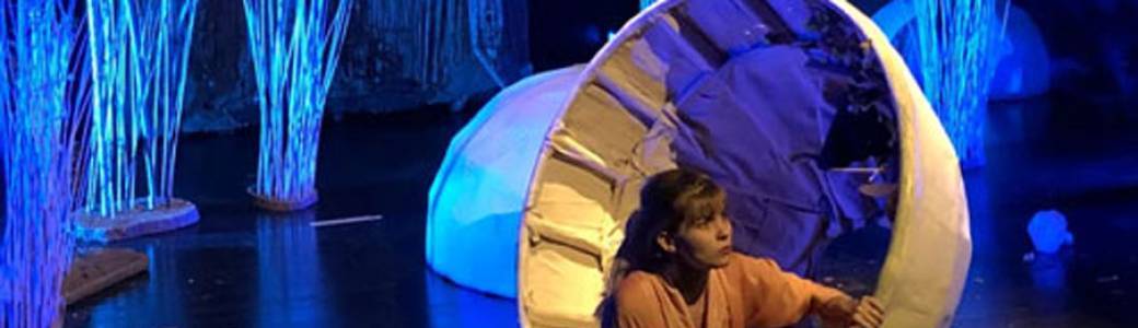 Théâtre jeune public - La petite fleur