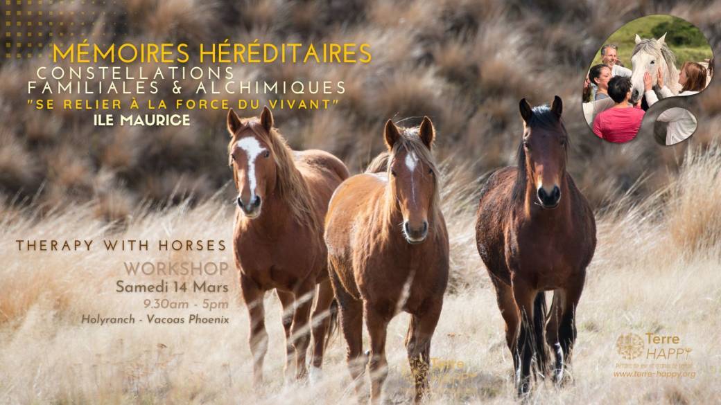 Constellations familiales avec Chevaux