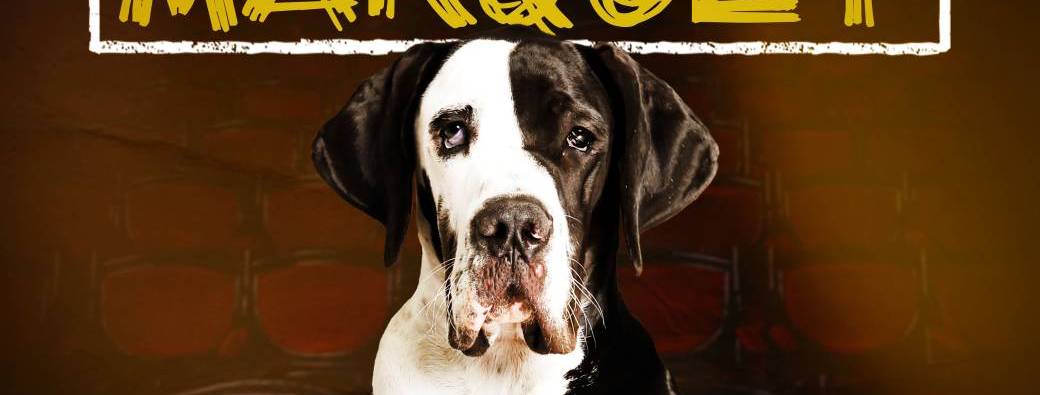 Thierry Marquet : On se fouterait pas un peu de notre gueule ?