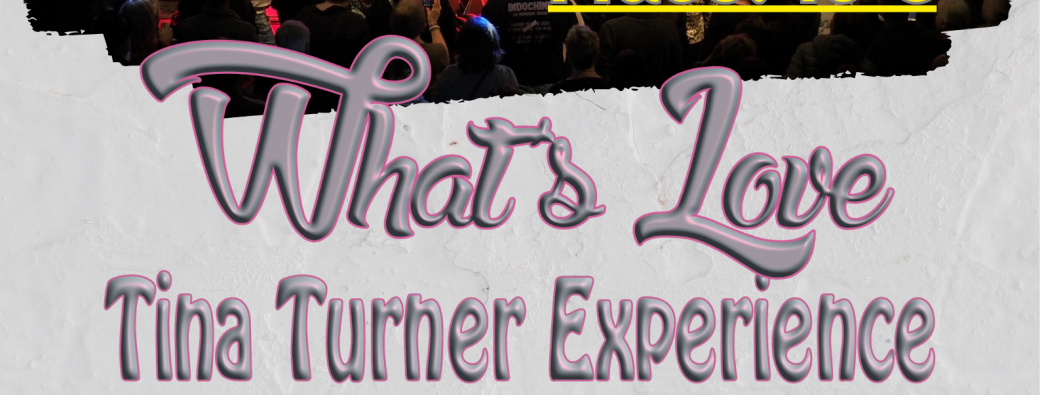 TINA TURNER EXPERIENCE groupe What's Love