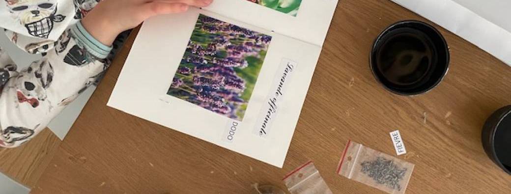 L'atelier des petits herboristes avec Holivita