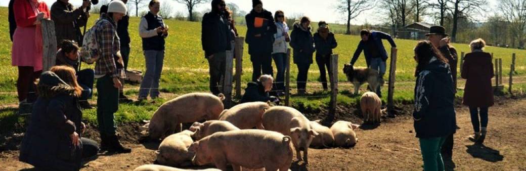 Tisser des nouveaux liens avec les animaux domestiques (avec René Becker)