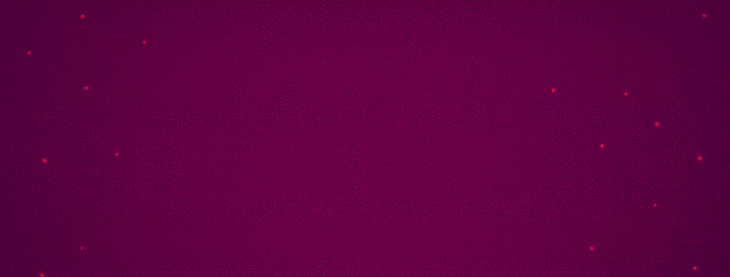 Étoiles en Scène - Édition 2026