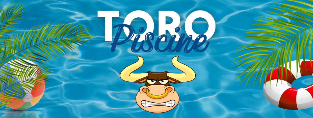 Toro Piscine