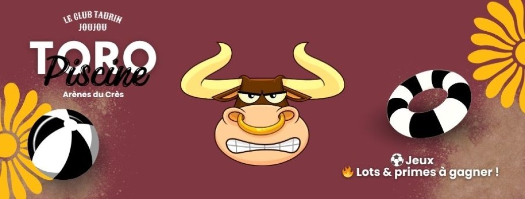 Toro Piscine