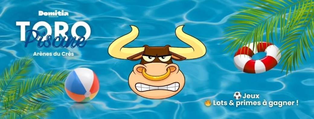 Toro Piscine