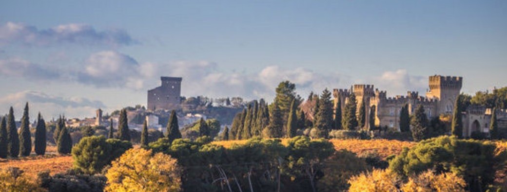 Tounée à Châteauneuf-du-Pape - Edition Anniversaire