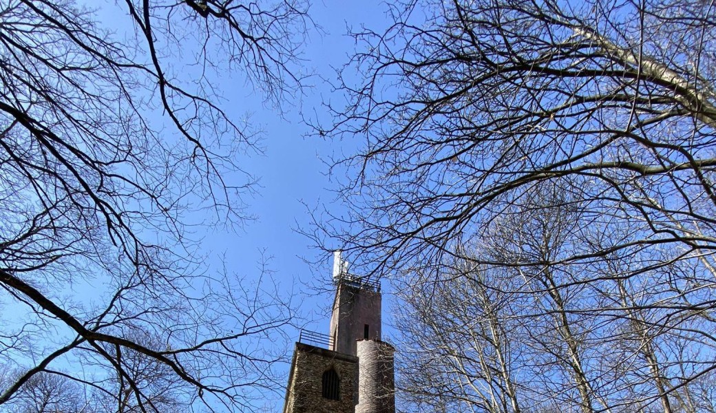 Tour de la foret de Montmorency [ciup]