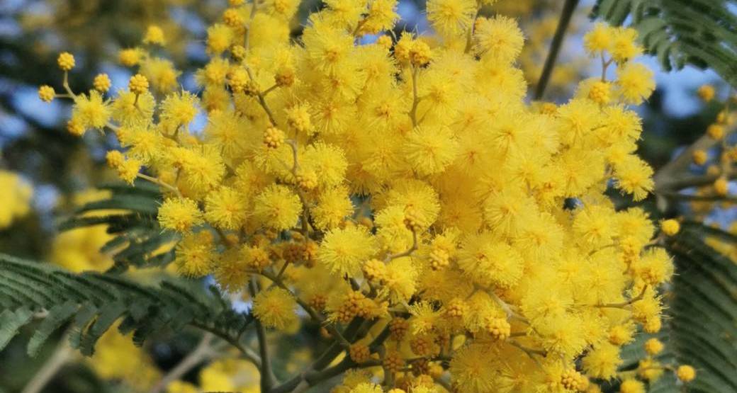 Tour des lacs des Péguières - Clubrando06 (Alix)