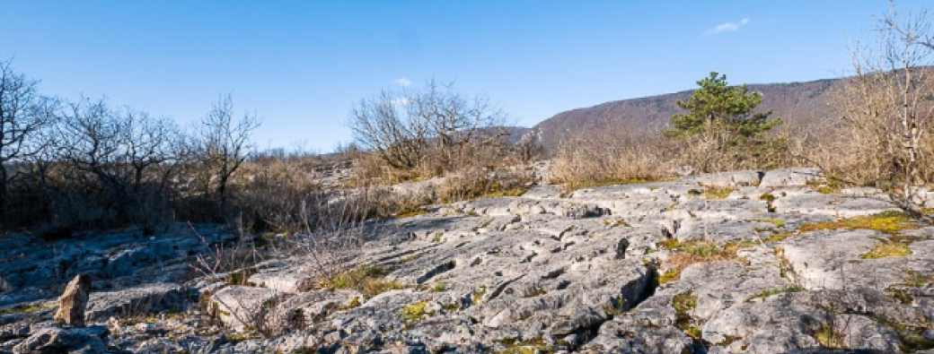 Tous au fierloz (En famille à partir de 5 ans)