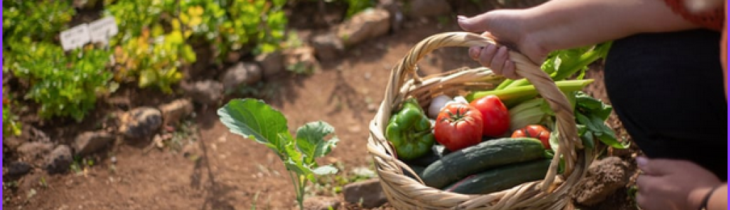 Tous au jardin ! 4-13 ans