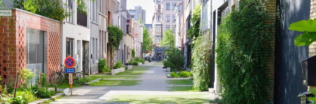 TOUS AU JARDIN - Adaptation aux changements climatiques