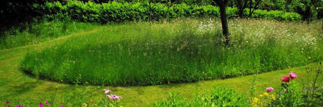 TOUS AU JARDIN - Alternatives aux PPP & gestion différenciée- Phytolicence