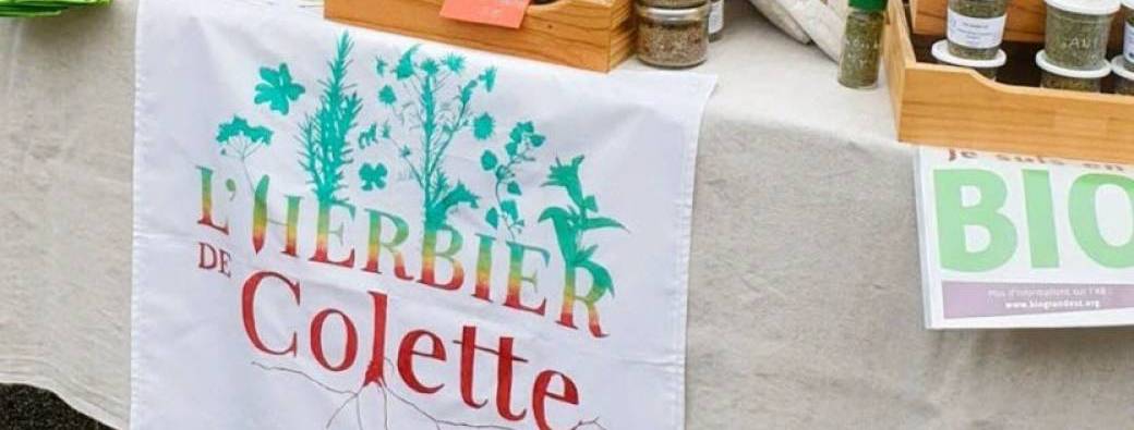 TOUS AU JARDIN // ATELIER TISANE