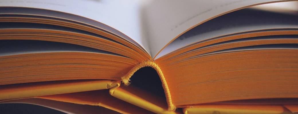 Tout le mois de novembre : Sélection thématique – Plongée dans l’univers de la photolittérature