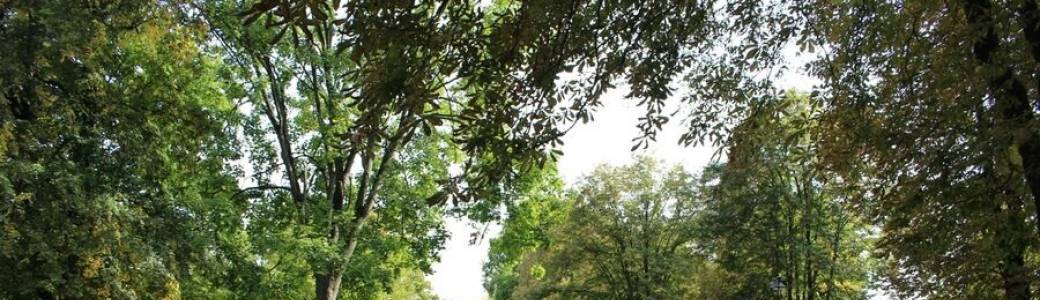 Tout public : Circuit training