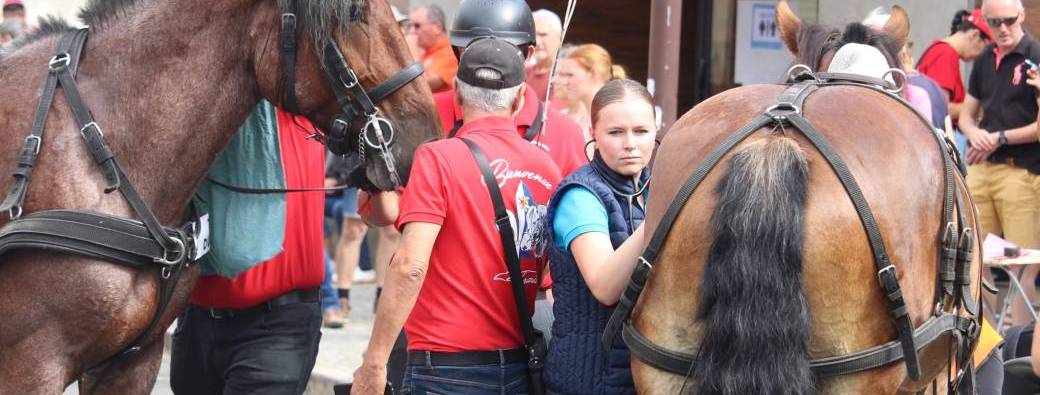 TP Approche, Contention et EG 