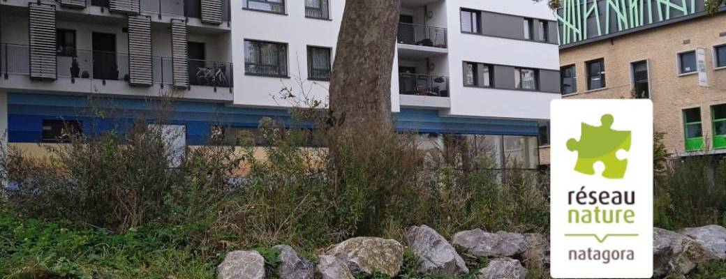 TP perfectionnement "Nature en ville"