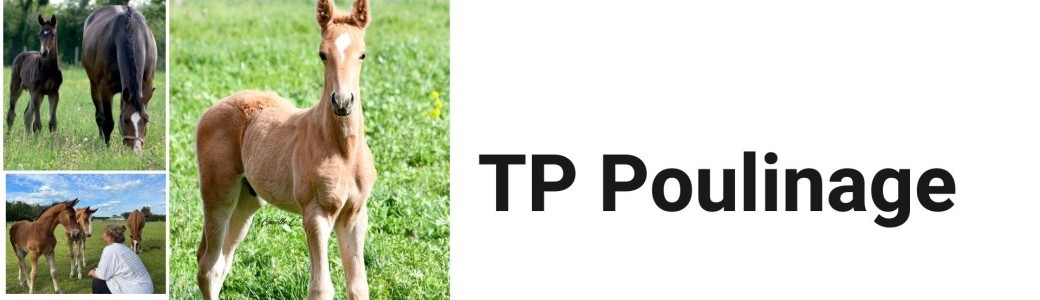 TP Poulinage