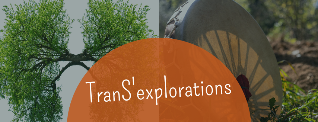 Trans'explorations socle 2