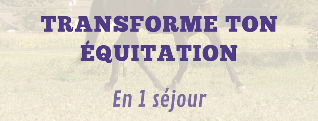 Transforme ton équitation 