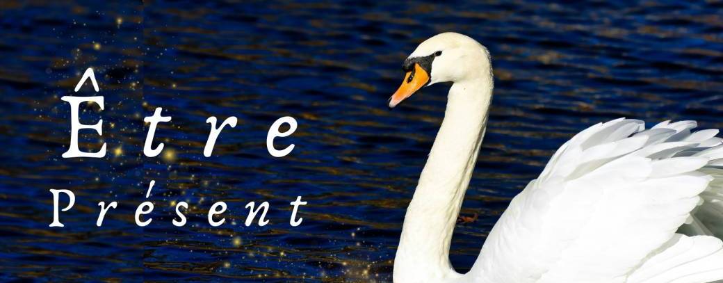 Être Présent - Zoom offert