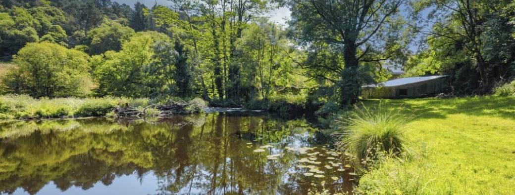 Trésors cachés du patrimoine : Le moulin du Roch