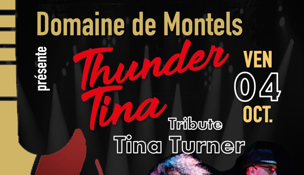 Tribute TINA TURNER à ALBIAS