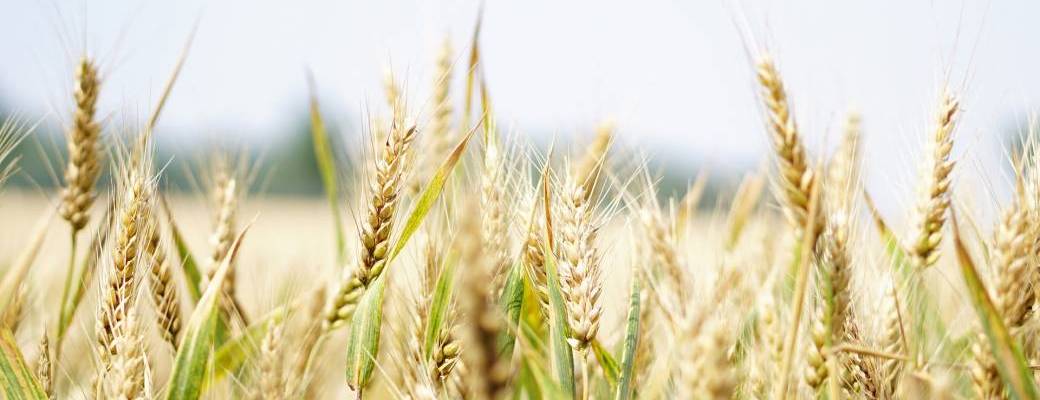 Trophées de l'Agriculture de Côte-d'Or