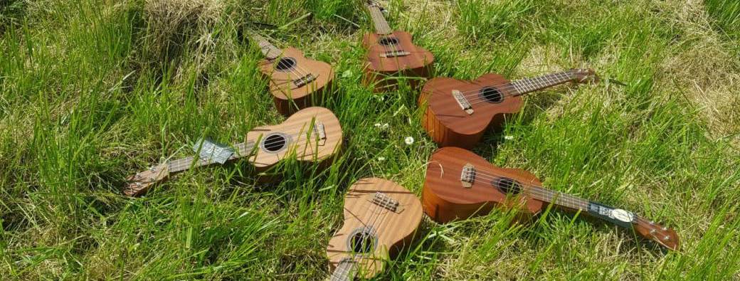 UKULELE pour grands débutants