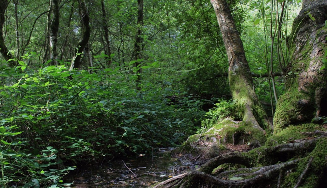 Un hiver dans le Val sans Retour
