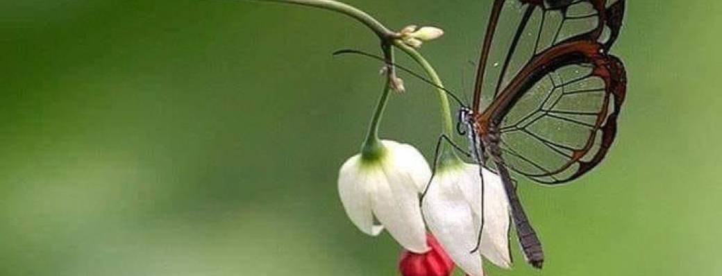 Un instant à l’écoute de nos émotions 