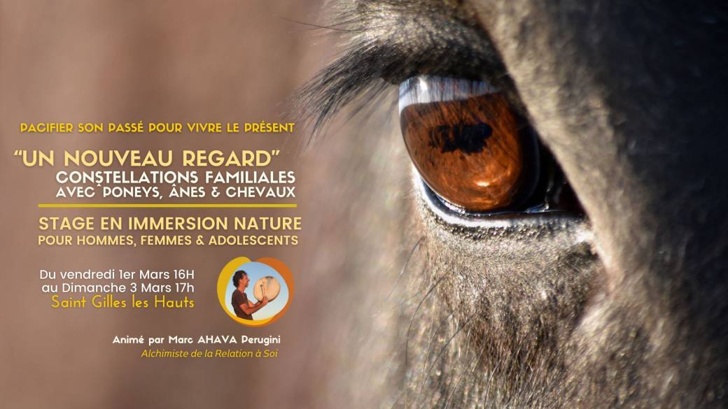 Un Nouveau Regard